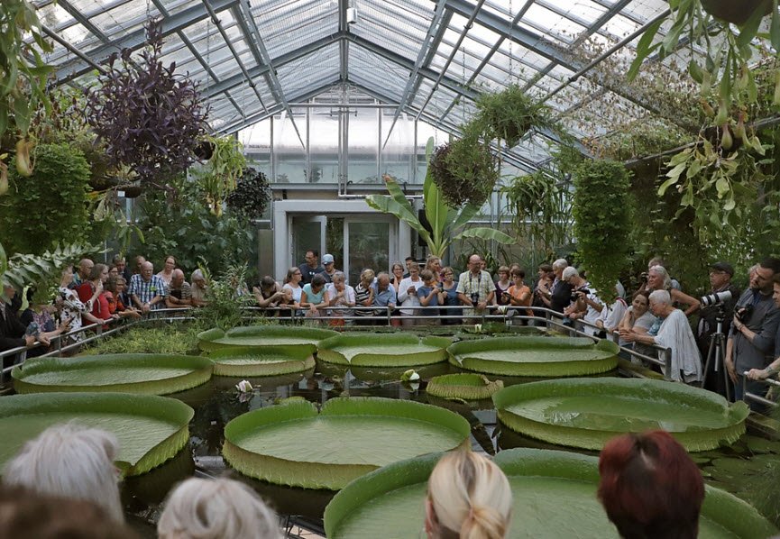 TU Brunswick Botanical Garden, Braunschweig, Germany, Germany